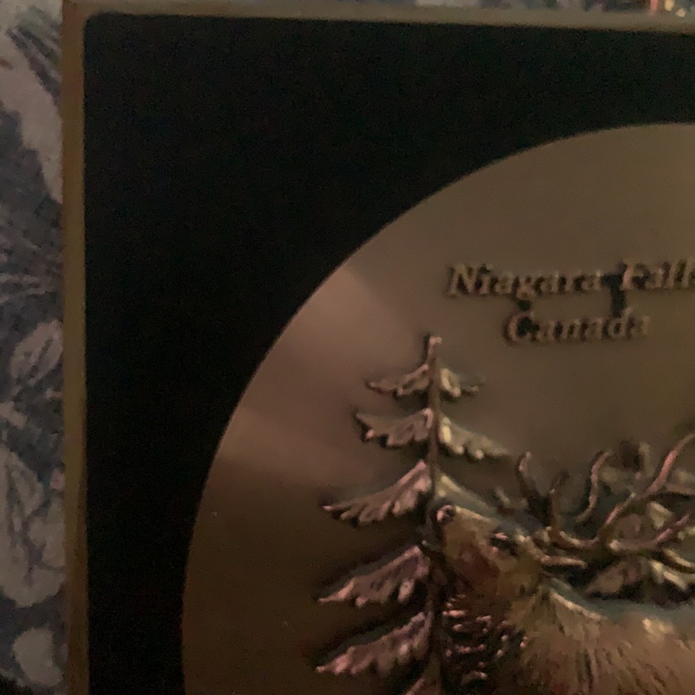 🔵 Niagara Falls Plaque - Picture 7 of 7